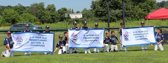 Media Little League 10U Team - PA Champions